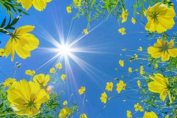 生活中的命运和福气：你也许从未注意到的幸运时刻