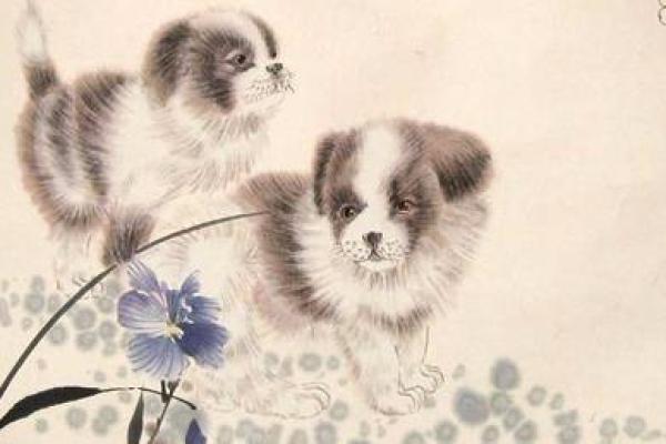 属狗水命者适合从事的生意及其成功秘诀