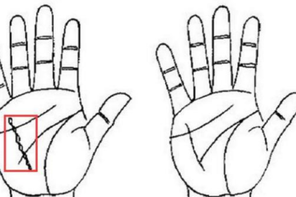 山头火命最佳配偶解析：如何找到你的命中注定