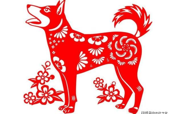 属狗水命：克服命缺，开启人生新篇章