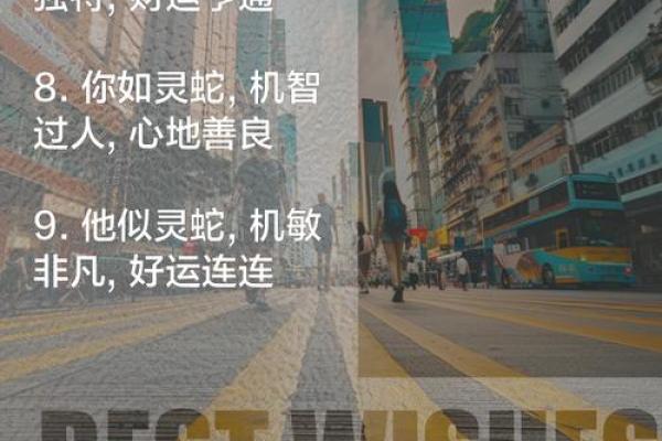 属蛇2022年生人命格解析：魅力与智慧的结合之路