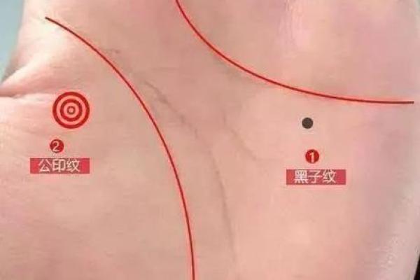 揭示财富密码:什么样的星盘是富婆命盘? 揭示财富密码:什么样的星盘是富婆命盘?