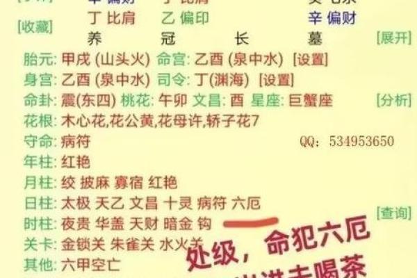 什么命的人适合当官员?看命理与潜能的完美结合! 什么命的人适合当官员?看命理与潜能的完美结合!