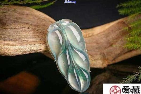 属狗大海水命佩戴的物品与选择指南 属狗大海水命佩戴的物品与选择指南