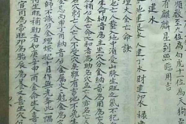 砂金命与哪些命最为相配？全面解析！