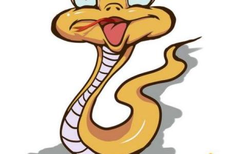 2001年出生的蛇年命：解析其独特的命运与个性魅力