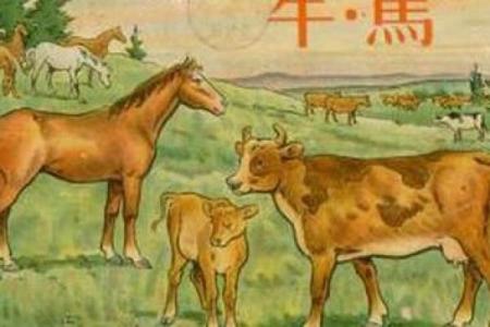 生肖马土命者宜购置怎样的房子？