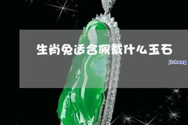 男孩属兔蛇晒日:揭示命运与性格的奥秘 男孩属兔蛇晒日:揭示命运与性格的奥秘