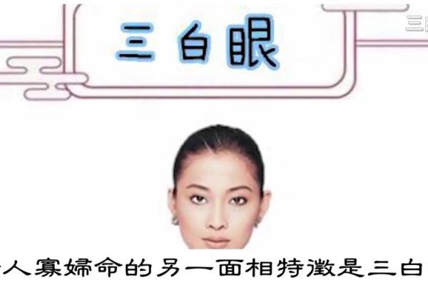 妻星为金的命理解析:解读属金之人的命运与运势 妻星为金的命理解析:解读属金之人的命运与运势