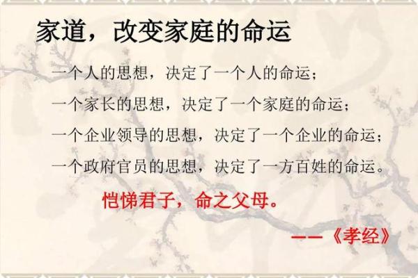 属狗午月出生者的命运解析与人生指南 属狗午月出生者的命运解析与人生指南