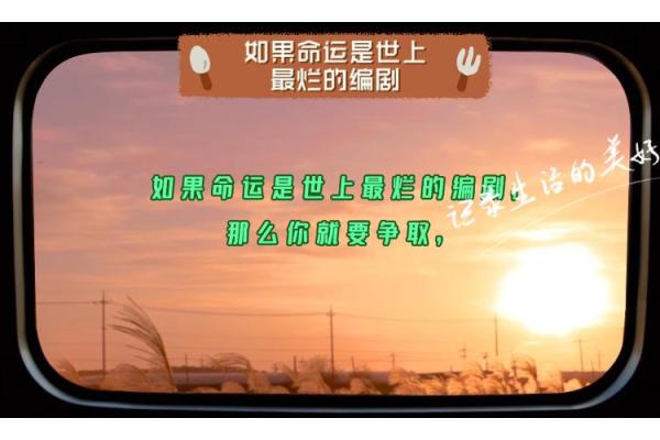 属狗午月出生者的命运解析与人生指南 属狗午月出生者的命运解析与人生指南