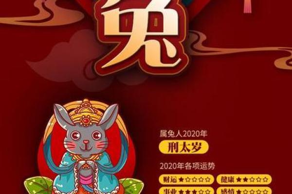 生肖兔:命里缺什么数字,助你提升运势的智慧之选! 生肖兔:命里缺什么数字,助你提升运势的智慧之选!