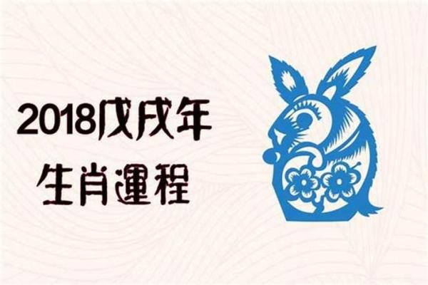 生肖兔:命里缺什么数字,助你提升运势的智慧之选! 生肖兔:命里缺什么数字,助你提升运势的智慧之选!