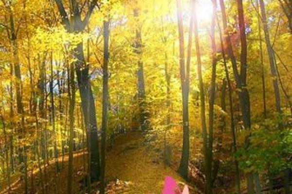 山头火命适合的颜色钱包：助运于财，旺你运势！