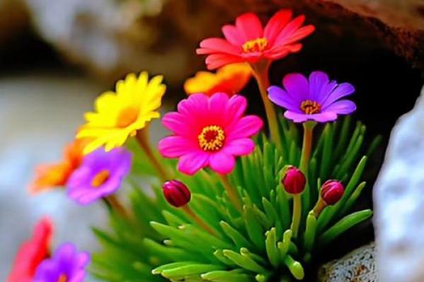 三头火命人的发财秘诀:利用优势,开启财富之门! 三头火命人的发财秘诀:利用优势,开启财富之门!