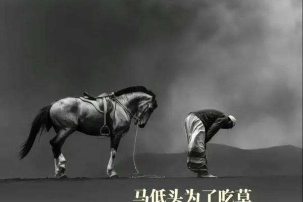 命运掌握在自己手中:探讨人生的强弱与命运的关系 命运掌握在自己手中:探讨人生的强弱与命运的关系