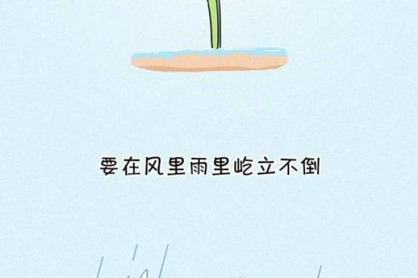 属狗人的命运解析:忠诚与坚韧的生活旅程 属狗人的命运解析:忠诚与坚韧的生活旅程