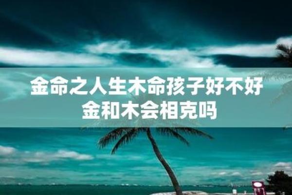 深入理解金命与木命:命理中的两种元素魅力 深入理解金命与木命:命理中的两种元素魅力