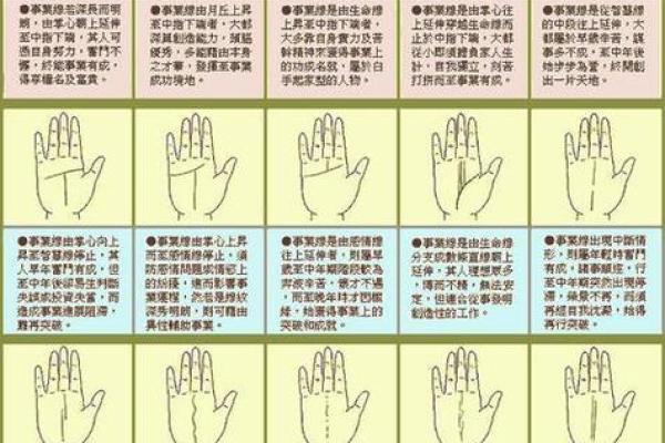 属虎人最佳命理解析:如何提升运势和生活质量 属虎人最佳命理解析:如何提升运势和生活质量