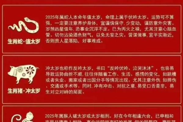 属虎人最佳命理解析:如何提升运势和生活质量 属虎人最佳命理解析:如何提升运势和生活质量