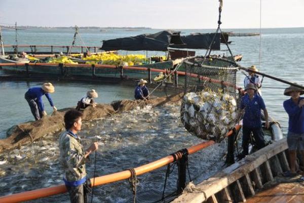 适合从事水产行业的命理解析与职业发展方向