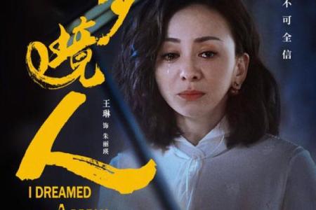 妻子续弦之命：爱与责任的交错人生