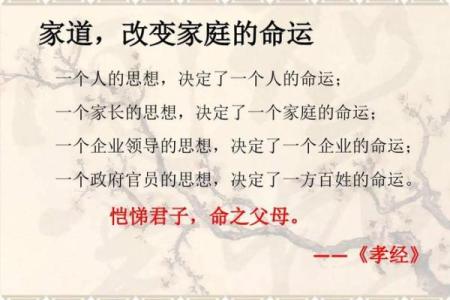 属狗午月出生者的命运解析与人生指南