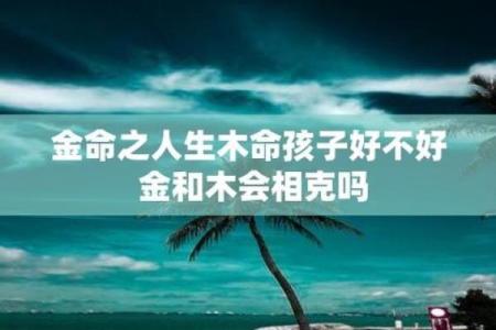 深入理解金命与木命：命理中的两种元素魅力