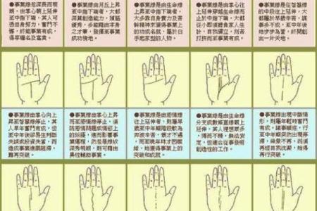 属虎人最佳命理解析：如何提升运势和生活质量