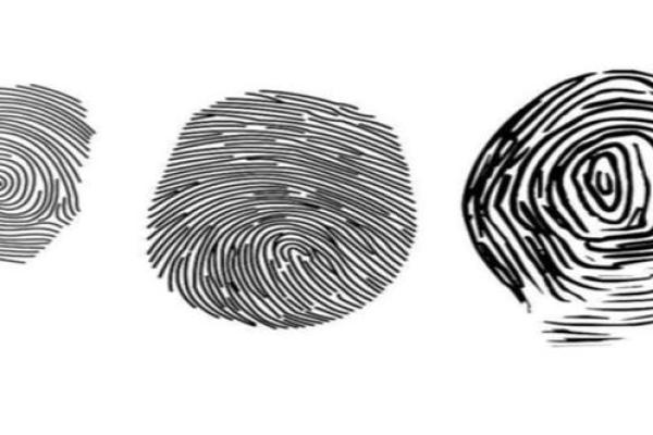 手指肚扁平的人命运解析：你不知道的性格与命运秘密！