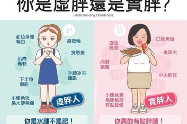 揭秘胖子与瘦子的命运之差:你的身体与寿命的关系! 揭秘胖子与瘦子的命运之差:你的身体与寿命的关系!