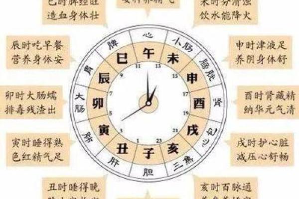 属狗者在不同时辰的命运解析：哪些时辰让他们最苦？