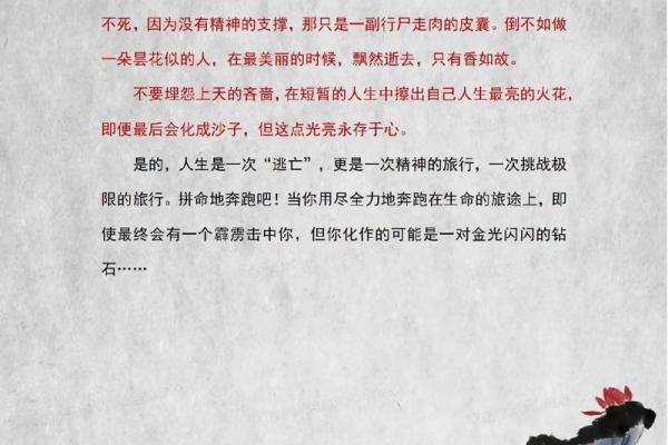 女命出门方可行:探寻命理中的出行智慧与人生旅途 女命出门方可行:探寻命理中的出行智慧与人生旅途