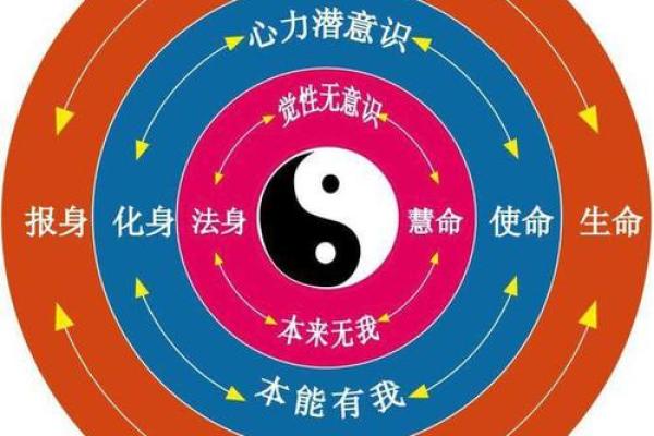 揭示命运的奥秘：什么是奇特的命局命理学？