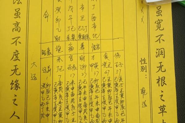 揭秘命局:正印角色与命运的微妙关系 揭秘命局:正印角色与命运的微妙关系