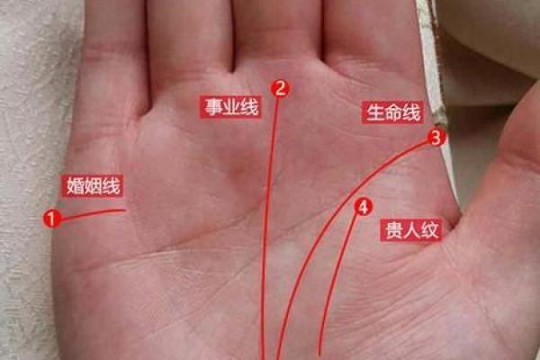 什么手相最有富贵命?揭秘富贵命的奥秘与表现 什么手相最有富贵命?揭秘富贵命的奥秘与表现