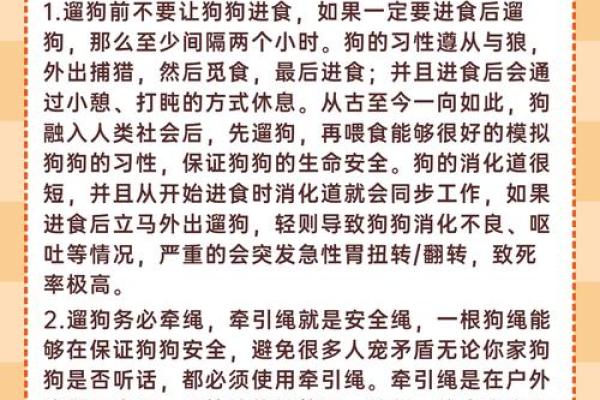 神秘的命格：2002年八月出生男孩的命运探索