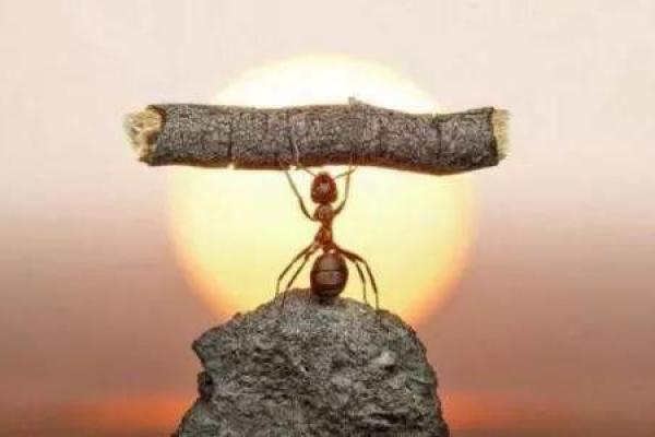 输了一条命：生活中的惨痛教训与深刻反思