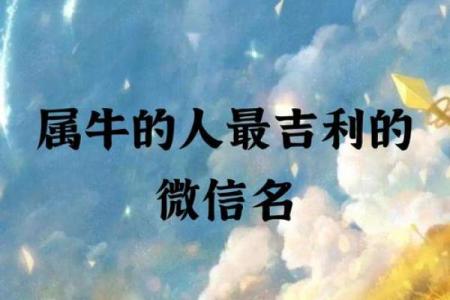 属牛一月出生的人命运解析：勤劳与坚持的象征