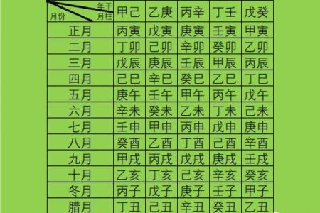 时柱藏干乙己丁：命理探秘与人生启示