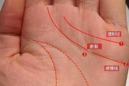 什么手相最有富贵命？揭秘富贵命的奥秘与表现