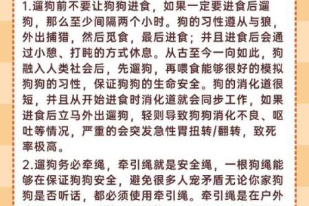 神秘的命格：2002年八月出生男孩的命运探索