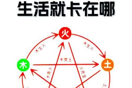 属猴金命缺木，摆件选择技巧与推荐