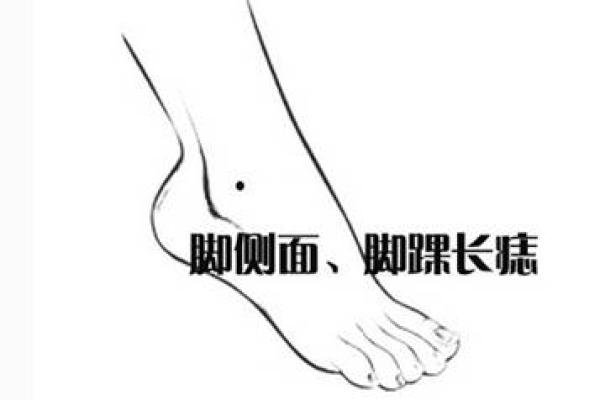 女人脚跟有痣的命理解析:揭示她们命运背后的秘密! 女人脚跟有痣的命理解析:揭示她们命运背后的秘密!