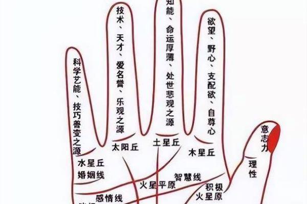 手纹三条线揭示你的命运之谜,快来了解吧! 手纹三条线揭示你的命运之谜,快来了解吧!