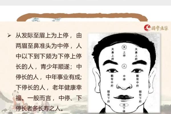 法律专业与五行之命:探寻法律学习者的命格魅力 法律专业与五行之命:探寻法律学习者的命格魅力