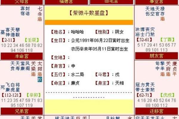 揭开生辰八字的神秘面纱，揭秘命格背后的玄妙意义