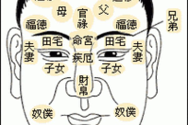 适合学习命理的人的特征与心态分析，如何找到自己的命理之路