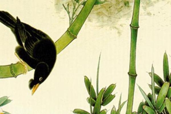 石榴木命的人适合背什么包,时尚与运势双丰收! 石榴木命的人适合背什么包,时尚与运势双丰收!