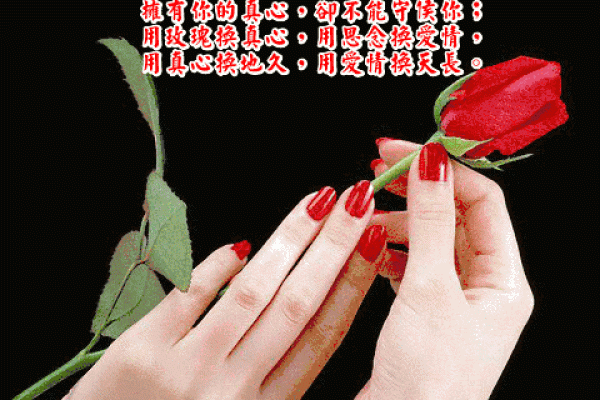 情人节的命运:爱在心间的奇妙缘分 情人节的命运:爱在心间的奇妙缘分